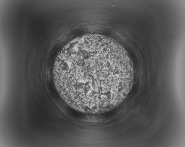 X0000086240703200704261916