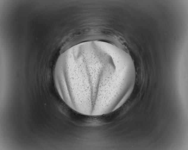 X0000086240704200704261916