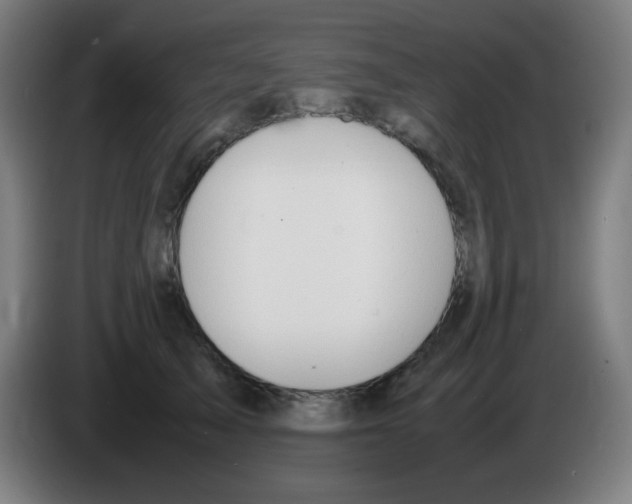 X0000086240705200704261916