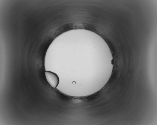 X0000086240706200704261916
