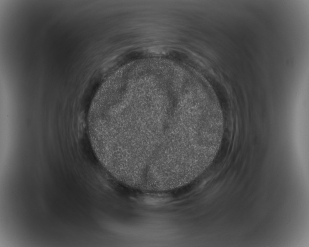 X0000086240707200704261916