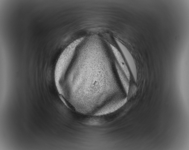 X0000086240708200704261916
