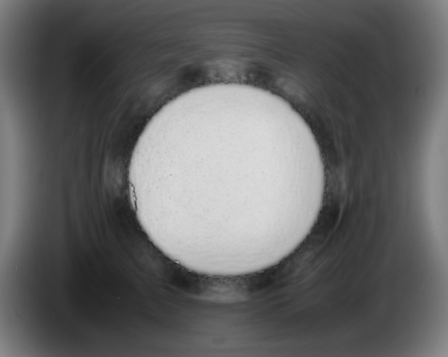X0000086240709200704261916