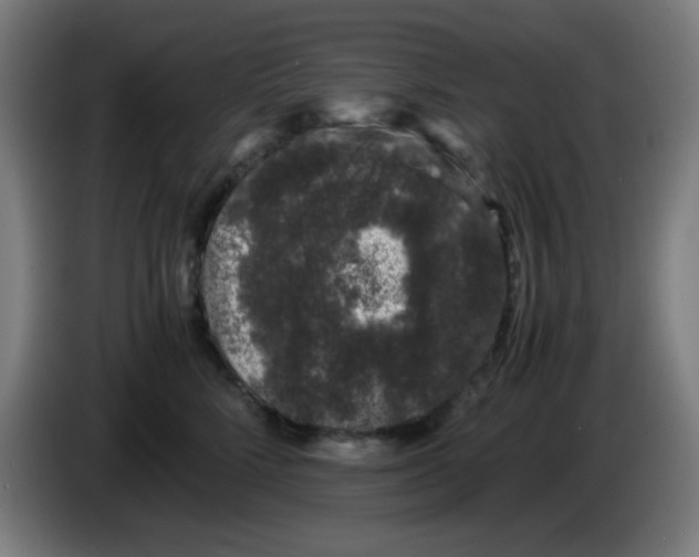 X0000086240712200704261916