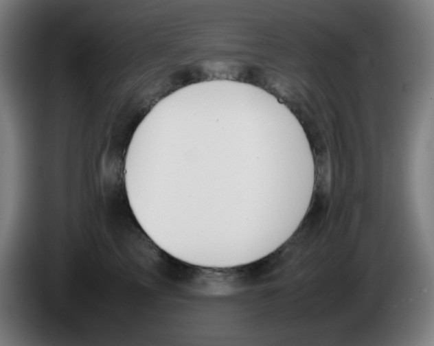 X0000086240713200704261916