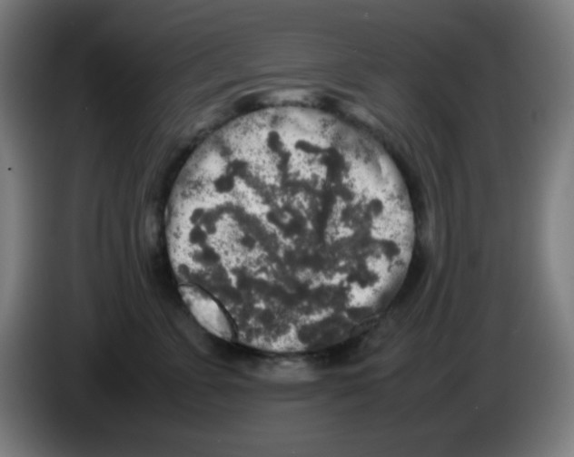 X0000086240715200704261916