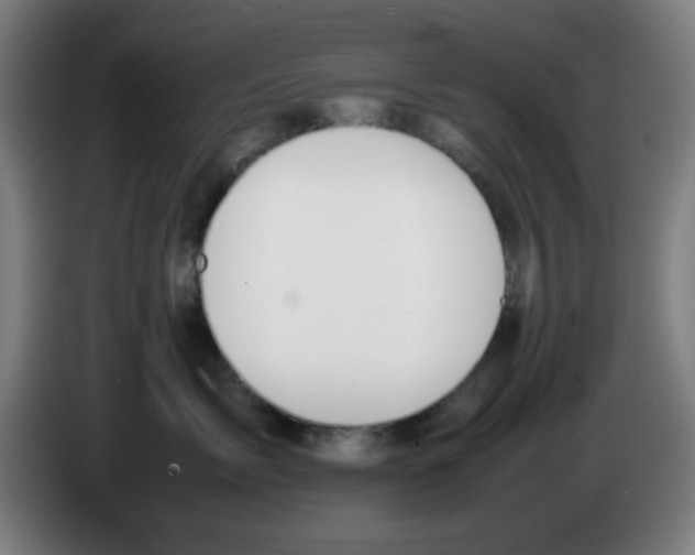 X0000086240717200704261916