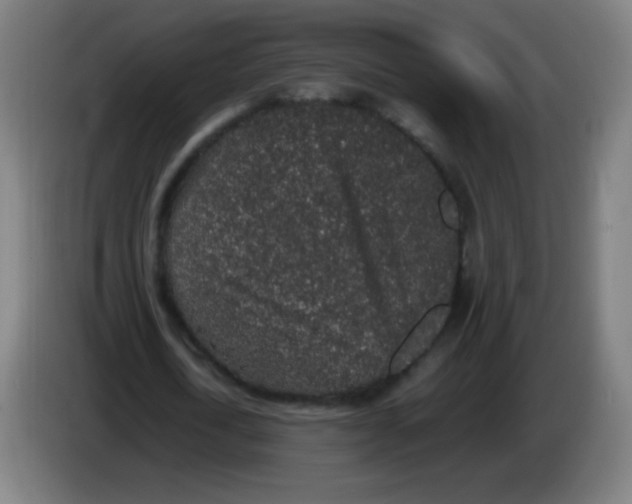 X0000086240722200704261915