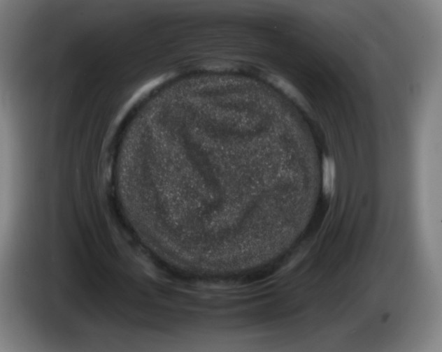 X0000086240723200704261915