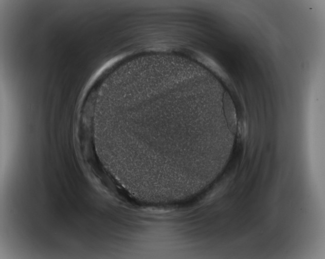 X0000086240724200704261915