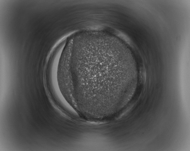 X0000086240726200704261915