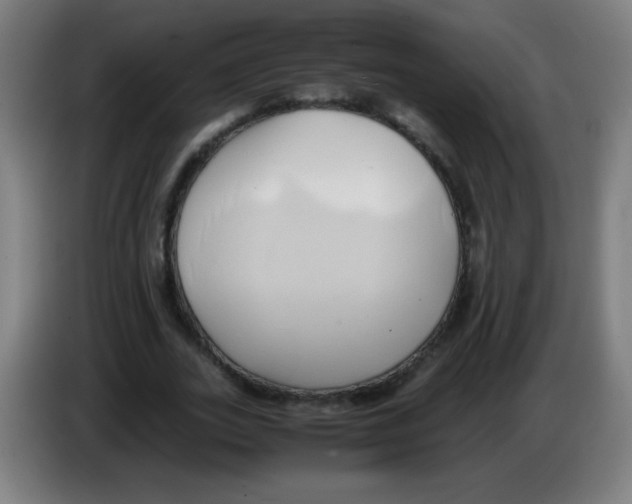X0000086240727200704261915
