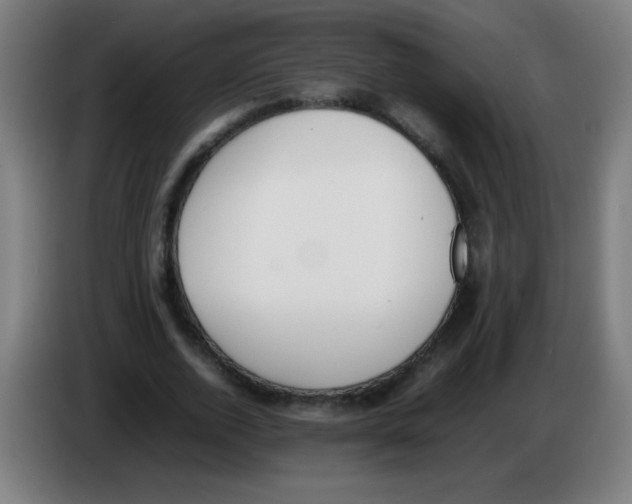 X0000086240728200704261915