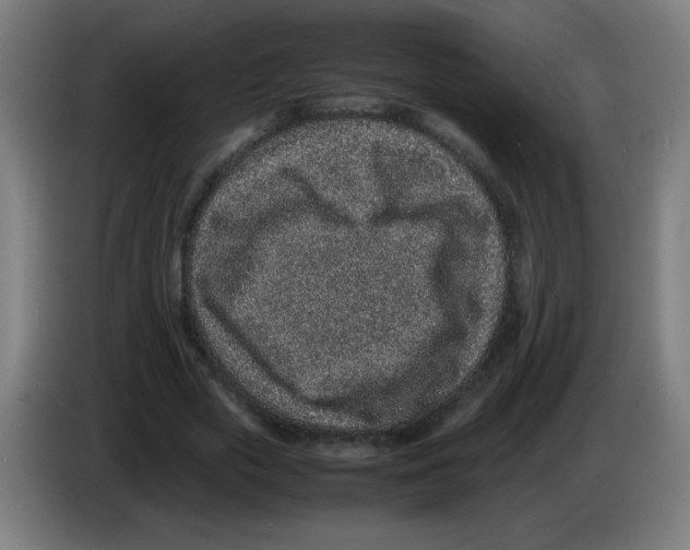 X0000086240729200704261915