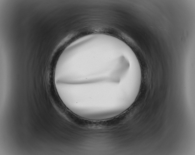 X0000086240730200704261915
