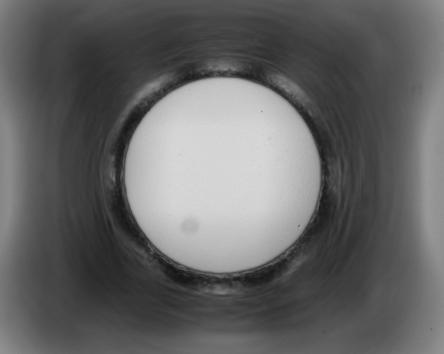 X0000086240731200704261915