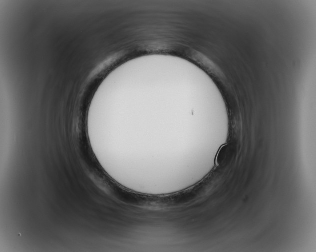 X0000086240732200704261915
