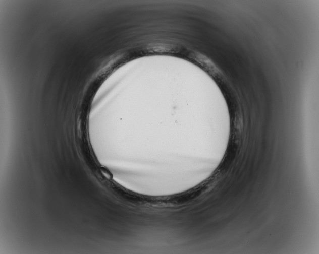 X0000086240734200704261915