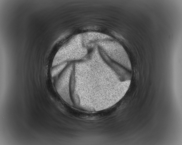 X0000086240735200704261915