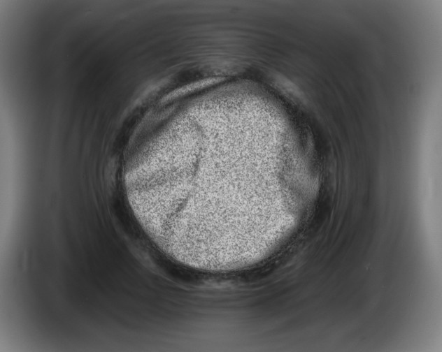 X0000086240742200704261916