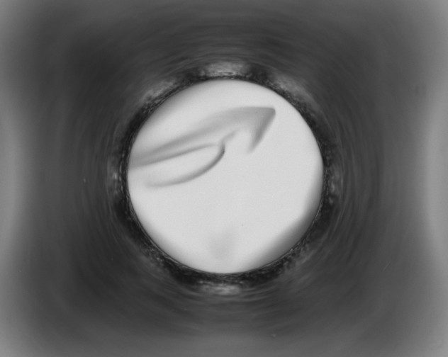 X0000086240743200704261916