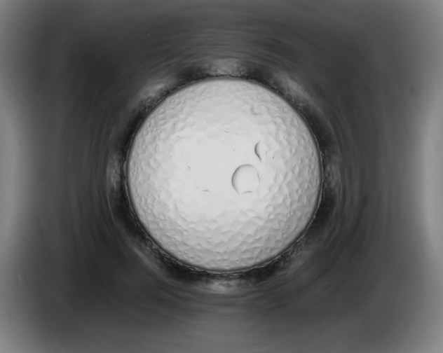 X0000086240744200704261916