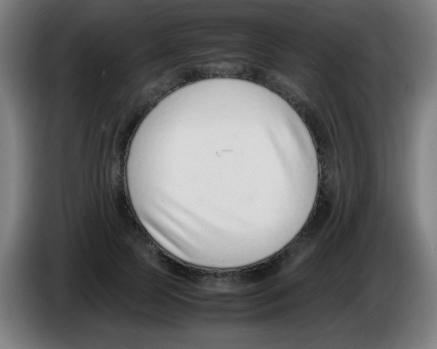 X0000086240745200704261916
