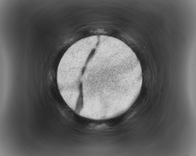 X0000086240747200704261916