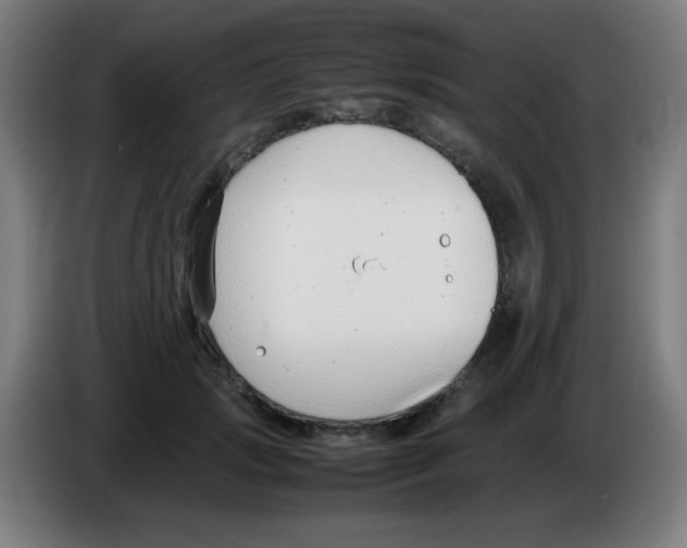 X0000086240749200704261916