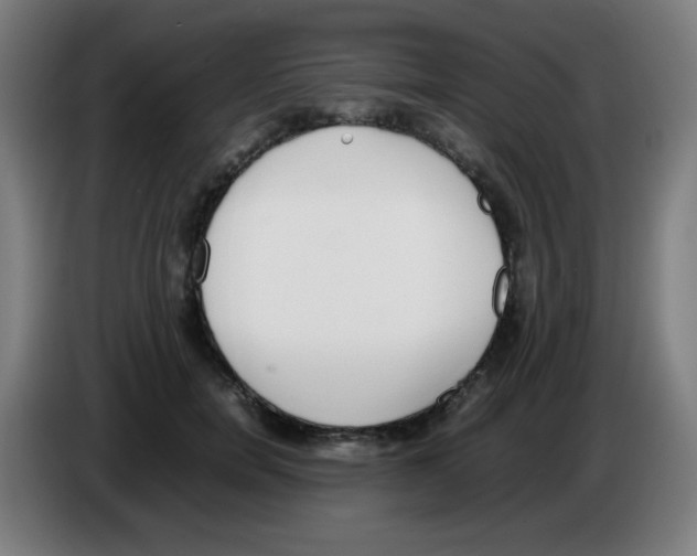 X0000086240750200704261916