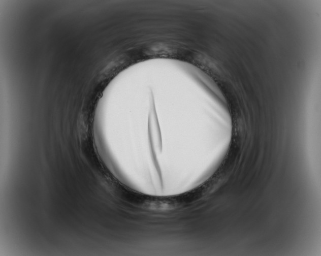 X0000086240751200704261916