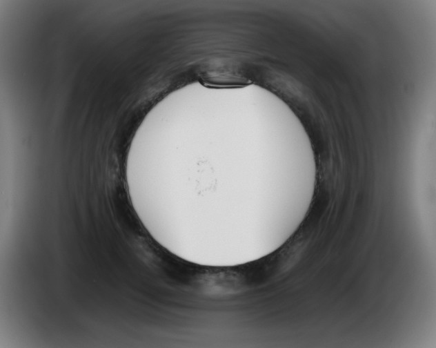 X0000086240752200704261916
