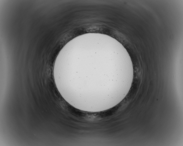 X0000086240753200704261916