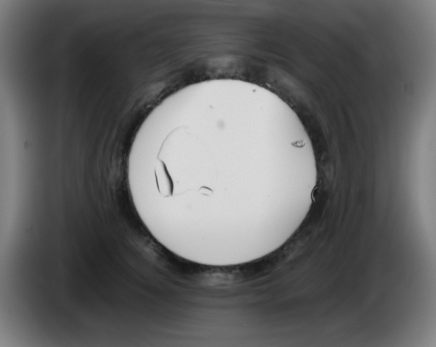 X0000086240756200704261916