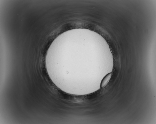 X0000086240757200704261916