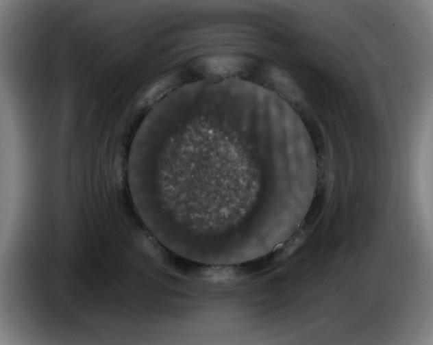 X0000086240762200704261916