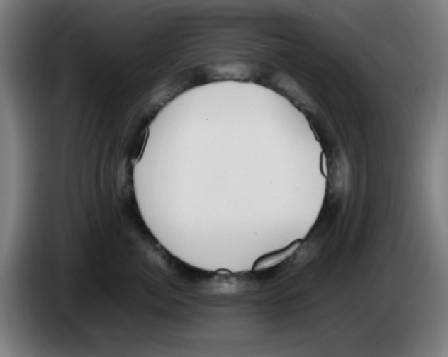 X0000086240764200704261916