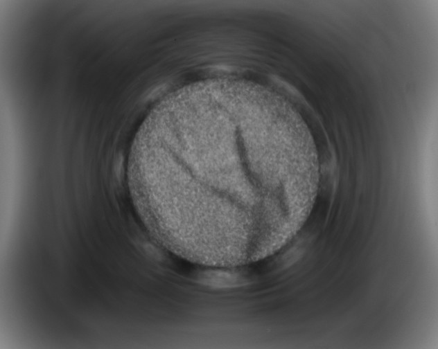 X0000086240765200704261916