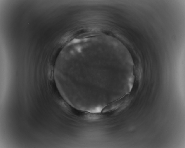 X0000086240766200704261916