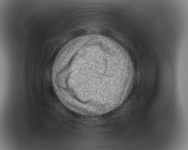 X0000086240772200704261915