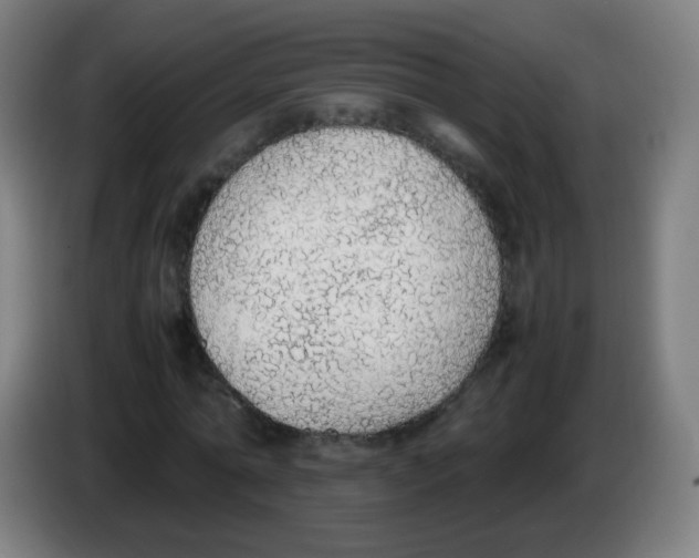 X0000086240774200704261915