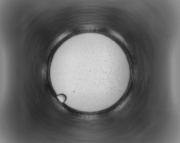 X0000086240778200704261915