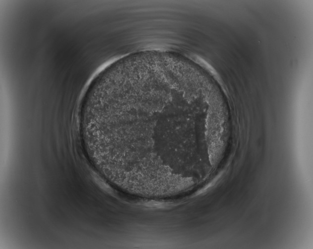 X0000086240779200704261915