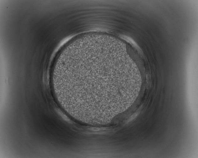 X0000086240780200704261915