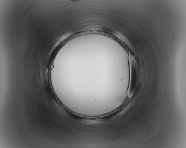X0000086240781200704261915