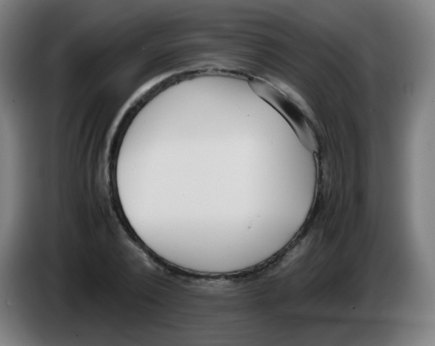 X0000086240784200704261915