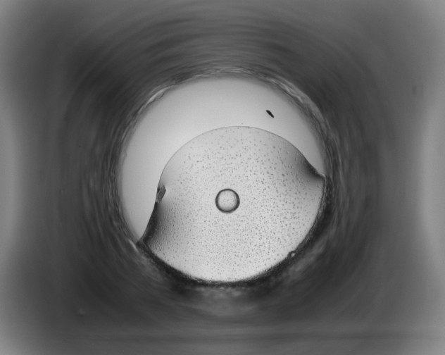 X0000086240785200704261915