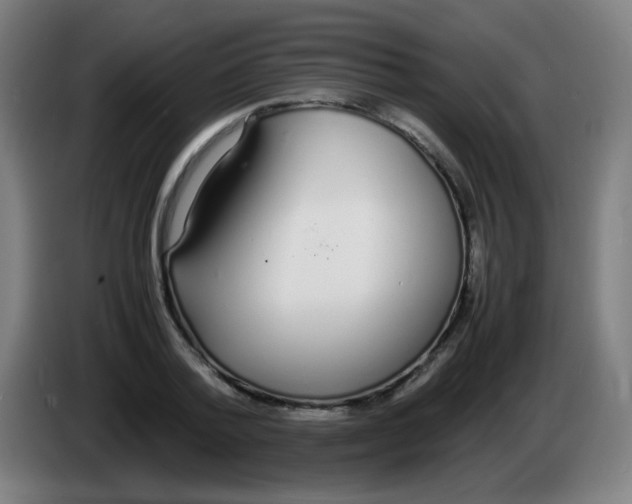 X0000086240788200704261915
