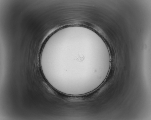 X0000086240789200704261915