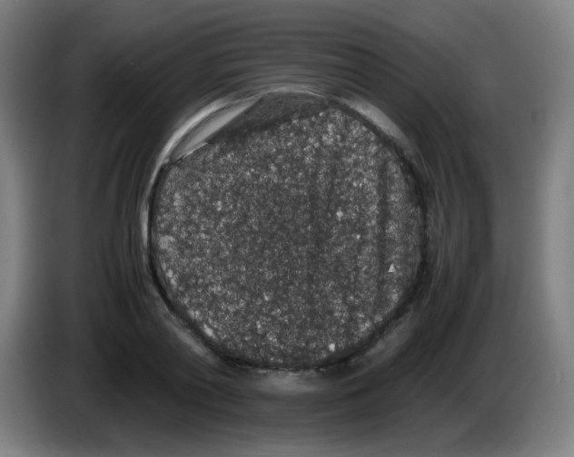 X0000086240790200704261915